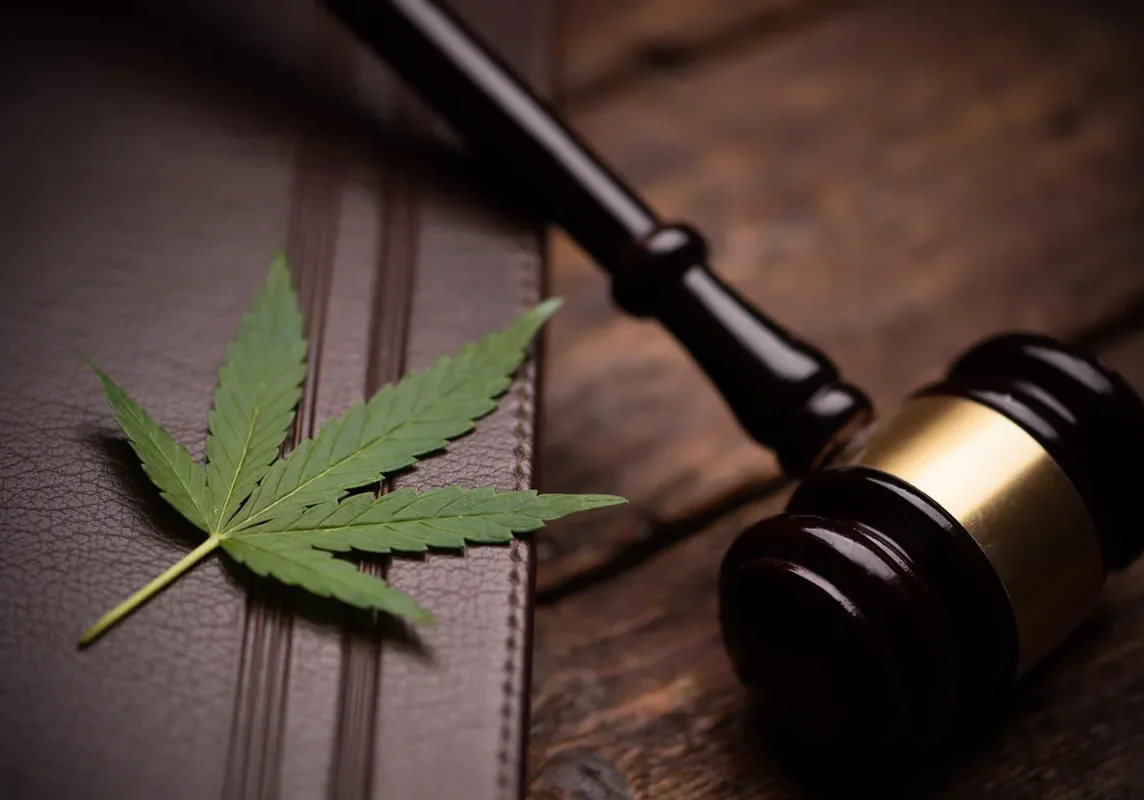 marijuana-leaf-and-judge-s-gavel.jpg